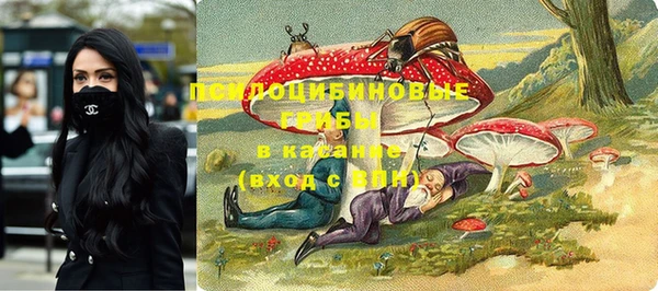 mix Алексин