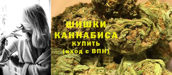 прущие грибы Алзамай