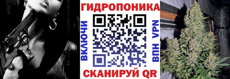 блэк спрут ТОР  купить   Жиздра  Канабис White Widow 